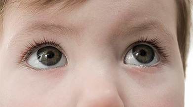 好視力最美眼睛  健康與美麗同行