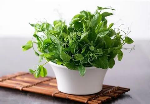 這個(gè)護(hù)眼食物，竟然還有人不知道！