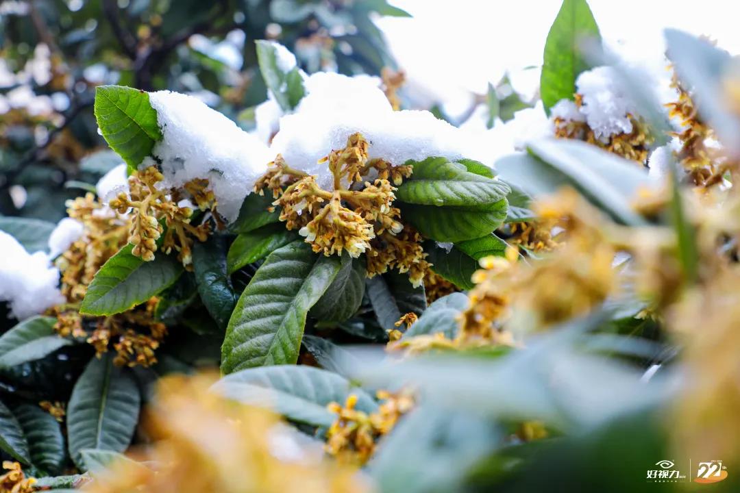 一場初雪，好視力眼貼一直守護