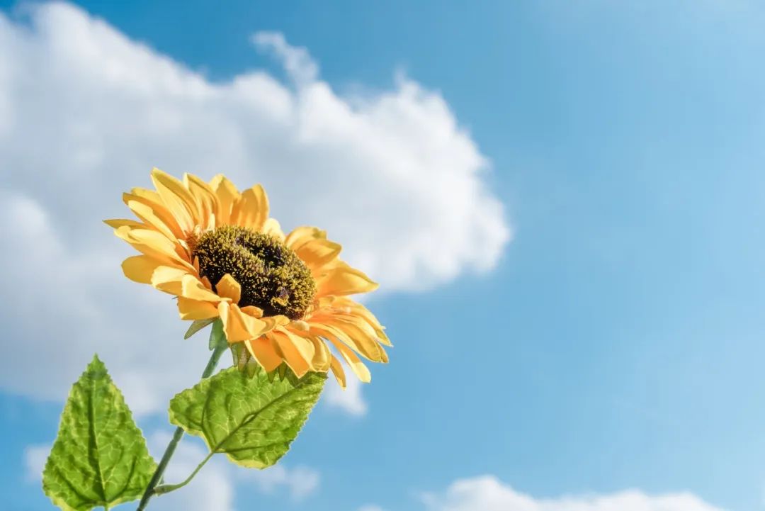 炎炎夏日，牢記這四點(diǎn)，讓眼睛更健康