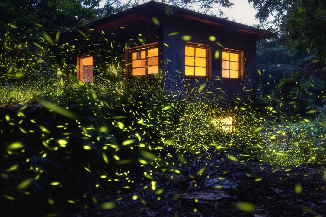 夜視力是什么？為什么有人一到晚上就看不清？