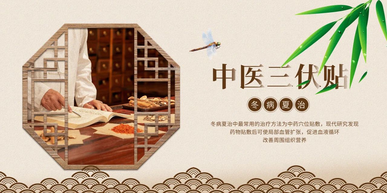 眼睛也需要“三伏貼”？